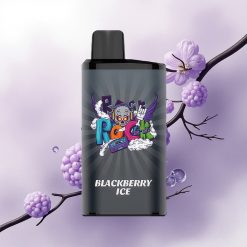 IGET Bar Pro 10000 Puffs Blackberry Ice Mesh Coil 2000 mAh