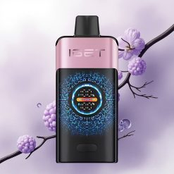 IGET ONE 12000 Puffs Blackberry Ice Dual Mesh 2700mAh