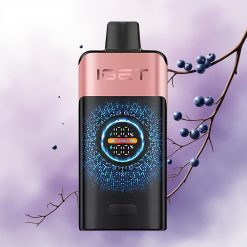 IGET ONE 12000 Puffs Blueberry Raspberry Dual Mesh 2700mAh