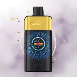 IGET ONE 12000 Puffs Kiwi Pineapple Dual Mesh 2700mAh